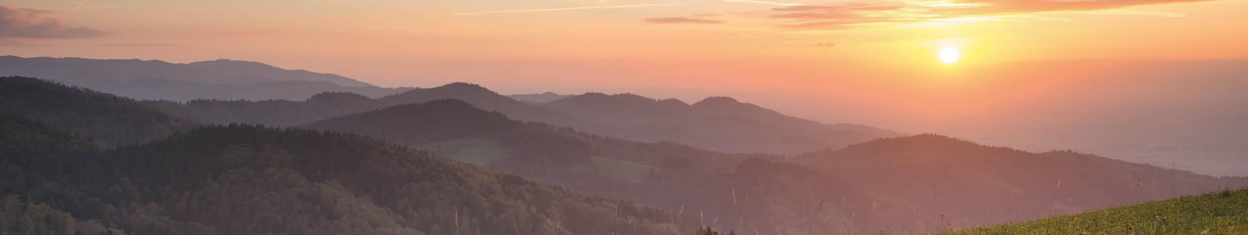 Banner Zwarte Woud - Duitsland